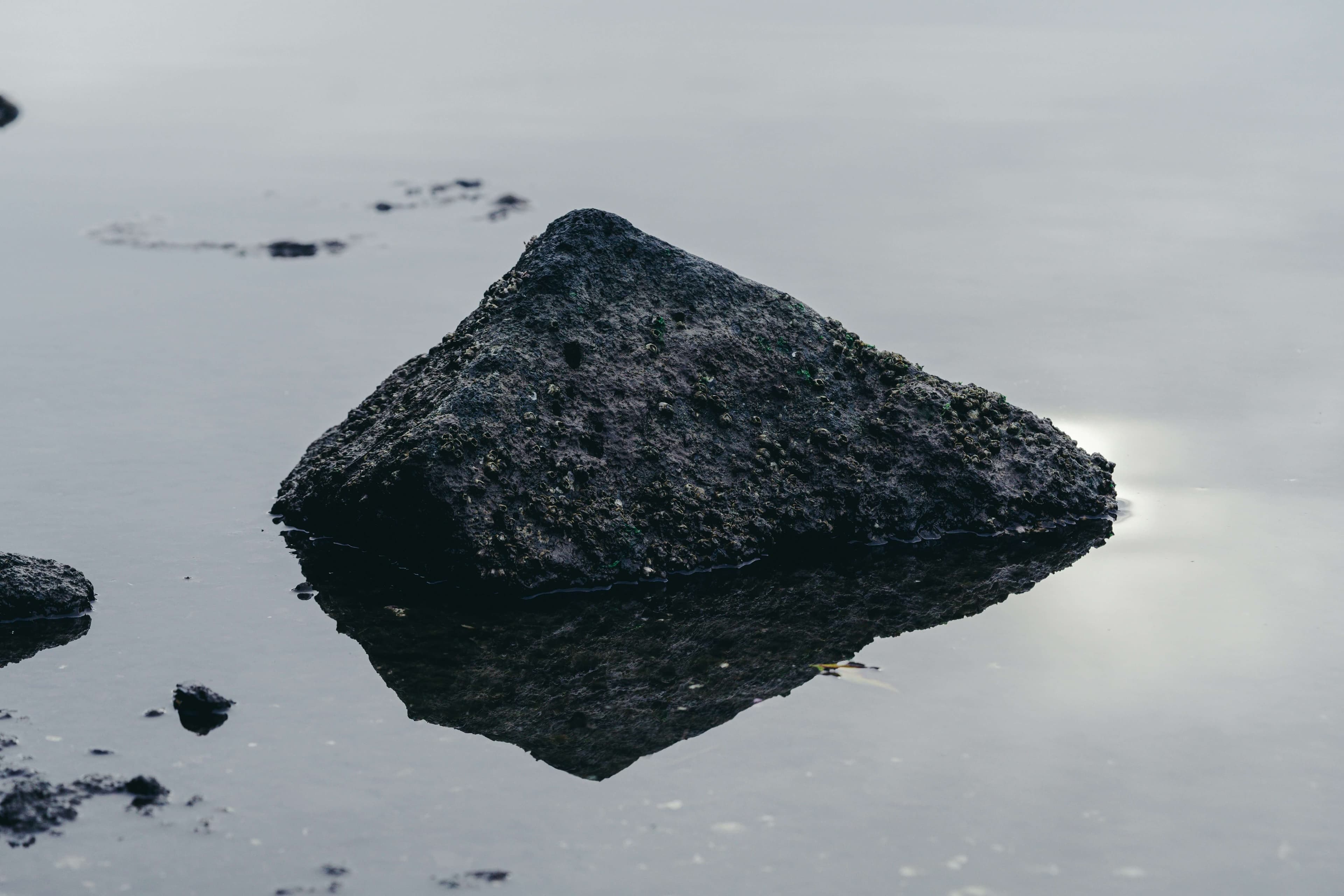 Photo by Gaurav Kumar on Unsplash.